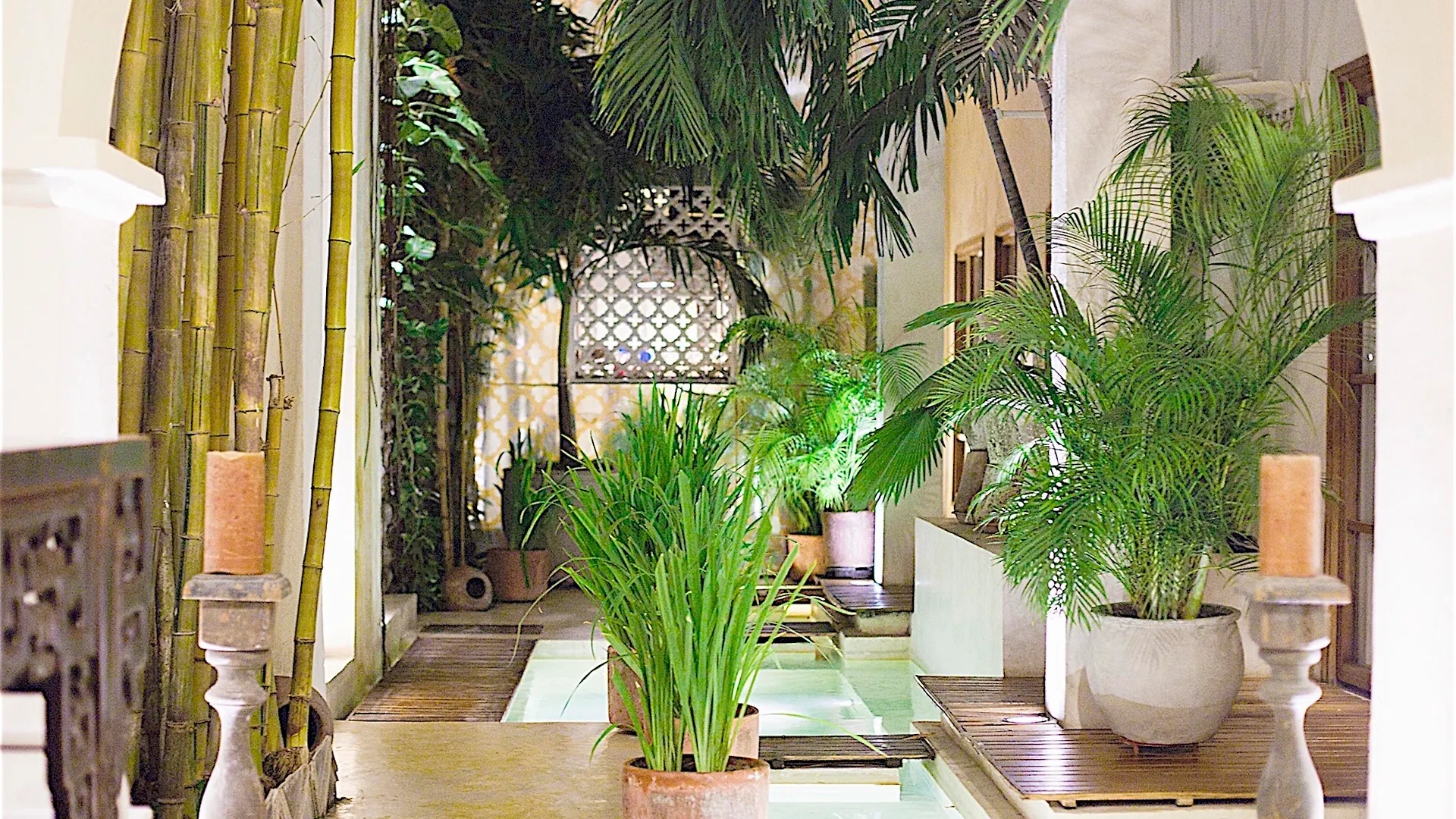 Hotel Casa Lola Deluxe Gallery Cartagena
